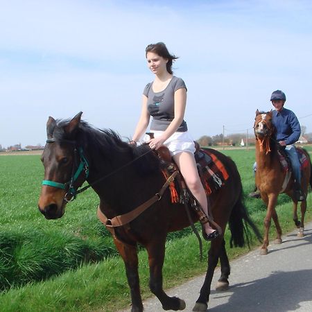 B&B Kanegem Onverbloemd Tielt Exteriör bild